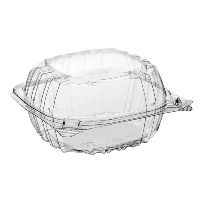 Hinged Lid Plastic Container 6 inch